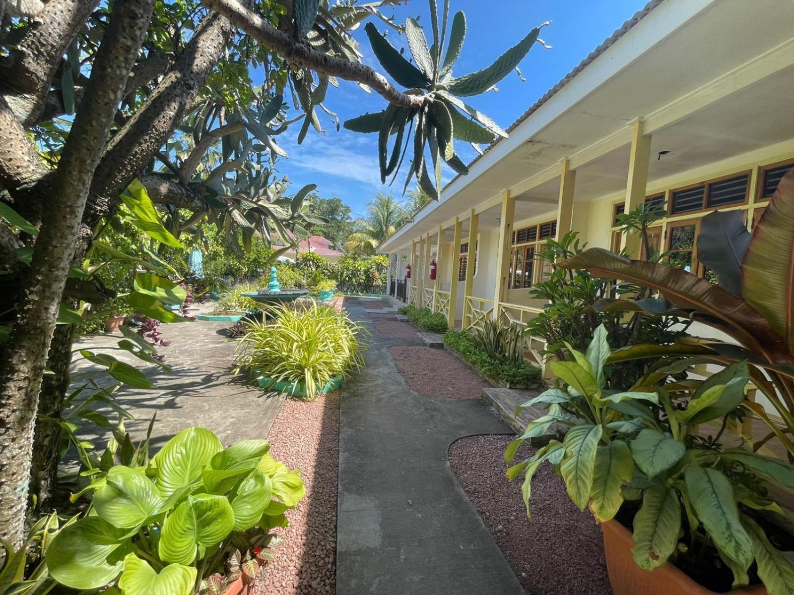 Apartment Orchid Self Catering